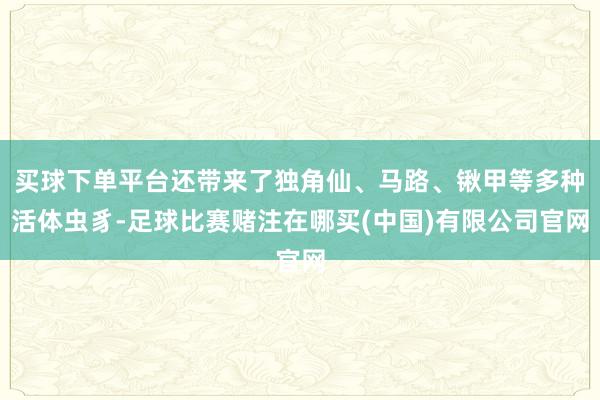 买球下单平台还带来了独角仙、马路、锹甲等多种活体虫豸-足球比赛赌注在哪买(中国)有限公司官网
