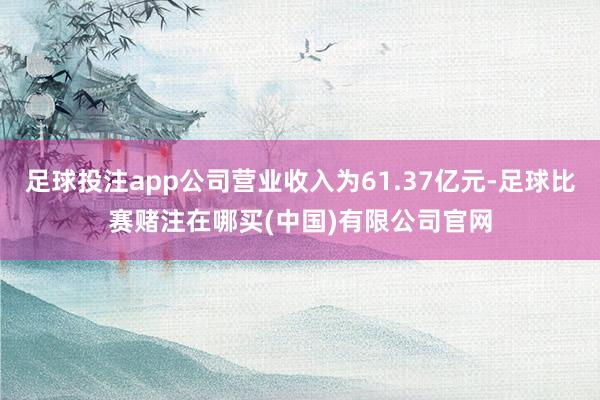 足球投注app公司营业收入为61.37亿元-足球比赛赌注在哪买(中国)有限公司官网