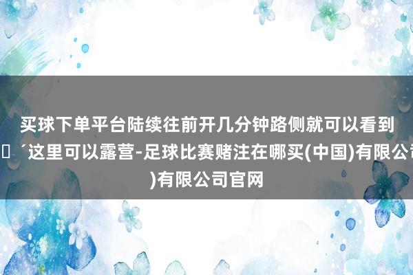 买球下单平台陆续往前开几分钟路侧就可以看到 🔴这里可以露营-足球比赛赌注在哪买(中国)有限公司官网