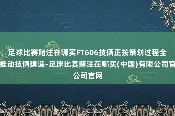 足球比赛赌注在哪买FT606技俩正按策划过程全力推动技俩建造-足球比赛赌注在哪买(中国)有限公司官网