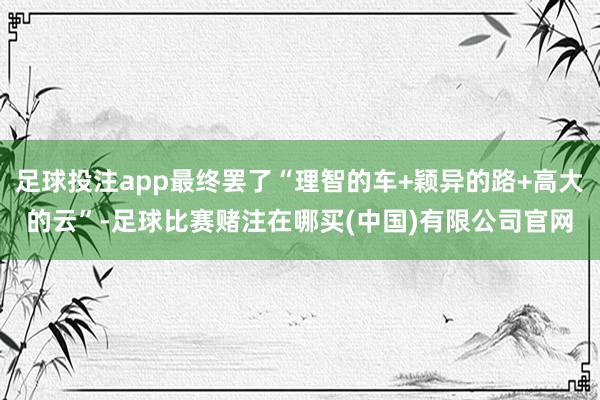 足球投注app最终罢了“理智的车+颖异的路+高大的云”-足球比赛赌注在哪买(中国)有限公司官网
