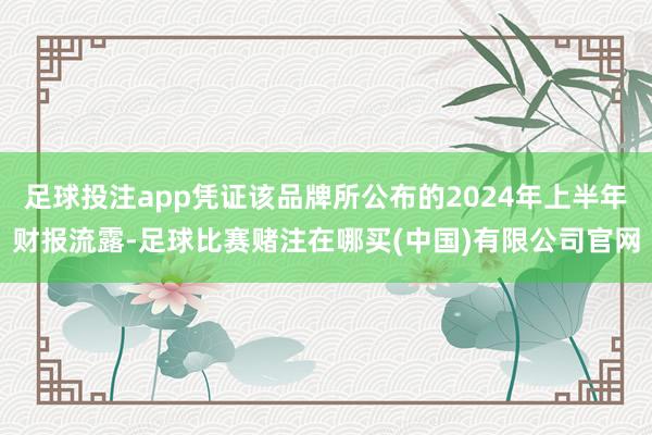 足球投注app凭证该品牌所公布的2024年上半年财报流露-足球比赛赌注在哪买(中国)有限公司官网