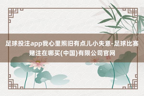 足球投注app我心里照旧有点儿小失意-足球比赛赌注在哪买(中国)有限公司官网
