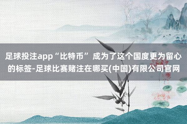 足球投注app“比特币” 成为了这个国度更为留心的标签-足球比赛赌注在哪买(中国)有限公司官网