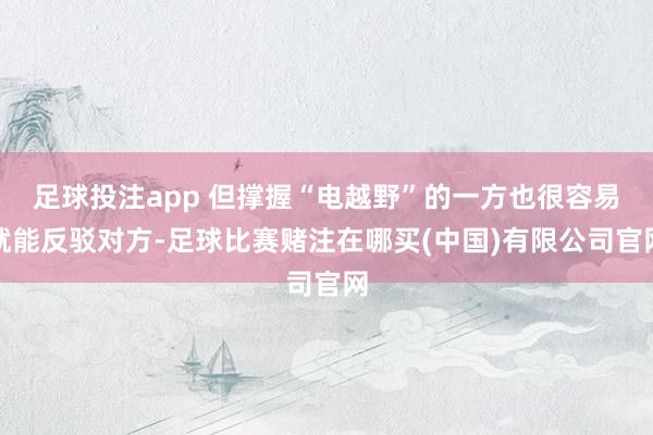 足球投注app 但撑握“电越野”的一方也很容易就能反驳对方-足球比赛赌注在哪买(中国)有限公司官网