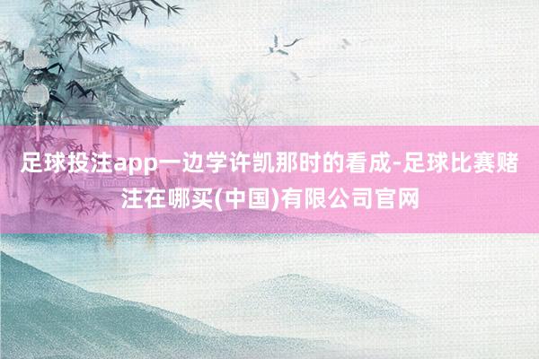 足球投注app一边学许凯那时的看成-足球比赛赌注在哪买(中国)有限公司官网