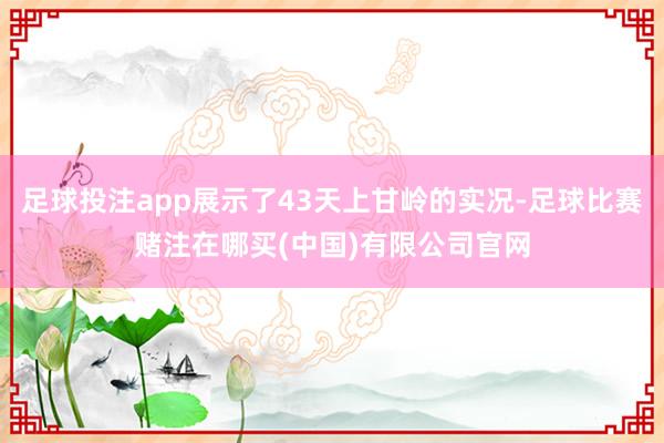 足球投注app展示了43天上甘岭的实况-足球比赛赌注在哪买(中国)有限公司官网
