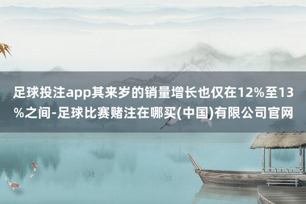 足球投注app其来岁的销量增长也仅在12%至13%之间-足球比赛赌注在哪买(中国)有限公司官网