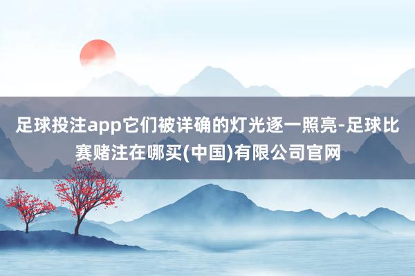 足球投注app它们被详确的灯光逐一照亮-足球比赛赌注在哪买(中国)有限公司官网