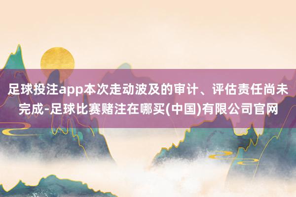 足球投注app本次走动波及的审计、评估责任尚未完成-足球比赛赌注在哪买(中国)有限公司官网