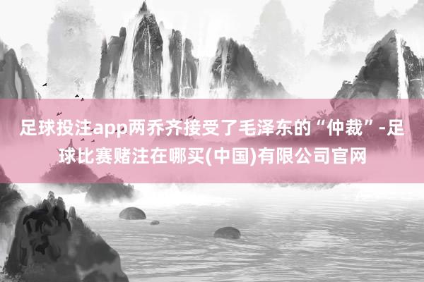 足球投注app两乔齐接受了毛泽东的“仲裁”-足球比赛赌注在哪买(中国)有限公司官网