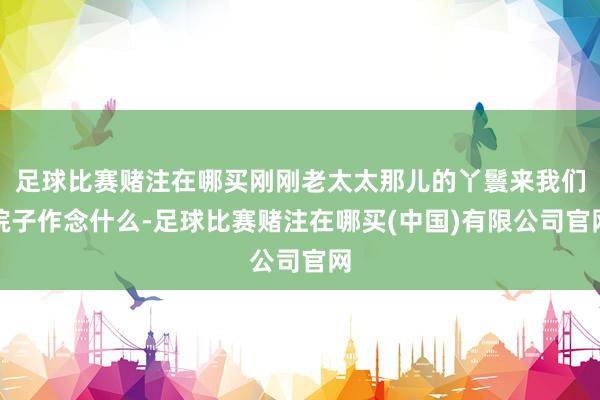 足球比赛赌注在哪买刚刚老太太那儿的丫鬟来我们院子作念什么-足球比赛赌注在哪买(中国)有限公司官网