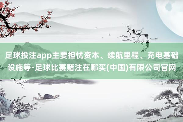 足球投注app主要担忧资本、续航里程、充电基础设施等-足球比赛赌注在哪买(中国)有限公司官网