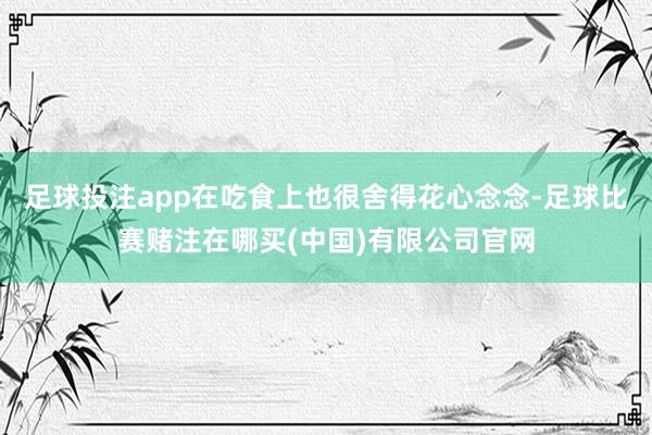 足球投注app在吃食上也很舍得花心念念-足球比赛赌注在哪买(中国)有限公司官网