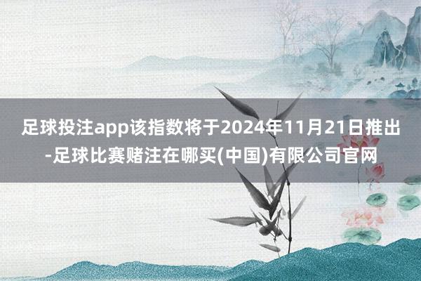 足球投注app该指数将于2024年11月21日推出-足球比赛赌注在哪买(中国)有限公司官网
