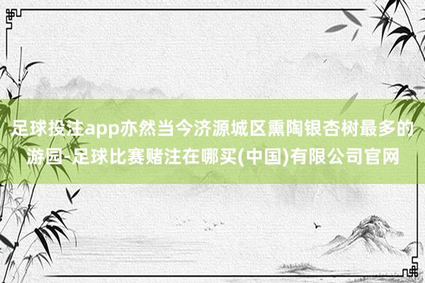 足球投注app亦然当今济源城区熏陶银杏树最多的游园-足球比赛赌注在哪买(中国)有限公司官网