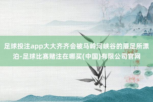 足球投注app大大齐齐会被马岭河峡谷的餍足所漂泊-足球比赛赌注在哪买(中国)有限公司官网