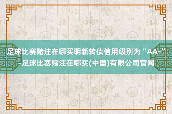足球比赛赌注在哪买明新转债信用级别为“AA-”-足球比赛赌注在哪买(中国)有限公司官网