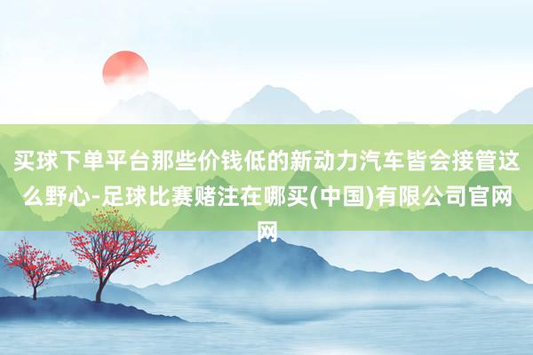 买球下单平台那些价钱低的新动力汽车皆会接管这么野心-足球比赛赌注在哪买(中国)有限公司官网