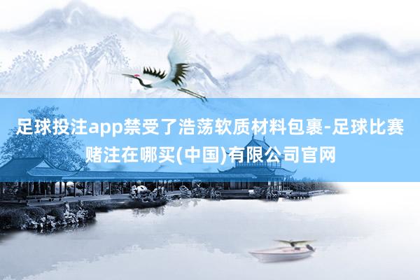 足球投注app禁受了浩荡软质材料包裹-足球比赛赌注在哪买(中国)有限公司官网