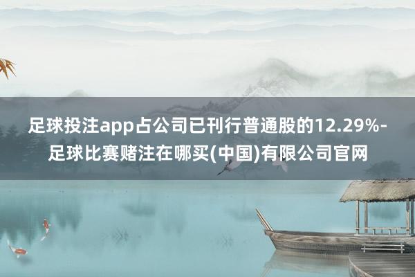足球投注app占公司已刊行普通股的12.29%-足球比赛赌注在哪买(中国)有限公司官网