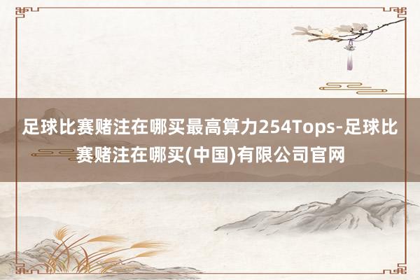 足球比赛赌注在哪买最高算力254Tops-足球比赛赌注在哪买(中国)有限公司官网