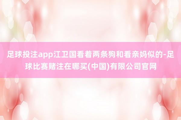 足球投注app江卫国看着两条狗和看亲妈似的-足球比赛赌注在哪买(中国)有限公司官网