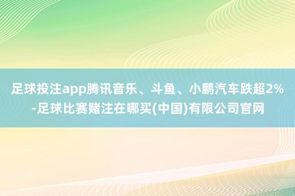 足球投注app腾讯音乐、斗鱼、小鹏汽车跌超2%-足球比赛赌注在哪买(中国)有限公司官网