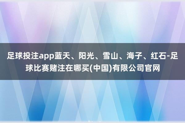 足球投注app蓝天、阳光、雪山、海子、红石-足球比赛赌注在哪买(中国)有限公司官网