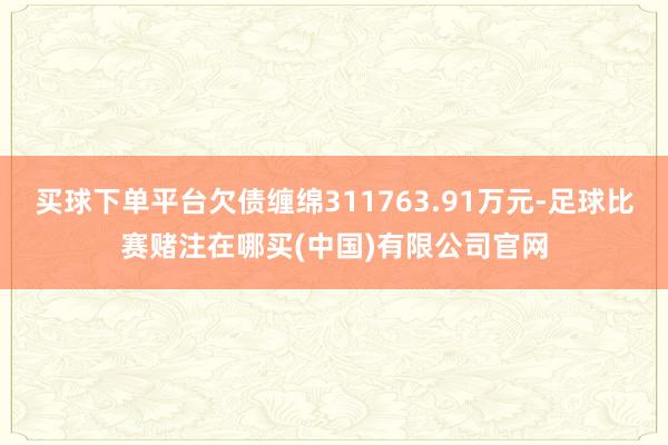买球下单平台欠债缠绵311763.91万元-足球比赛赌注在哪买(中国)有限公司官网