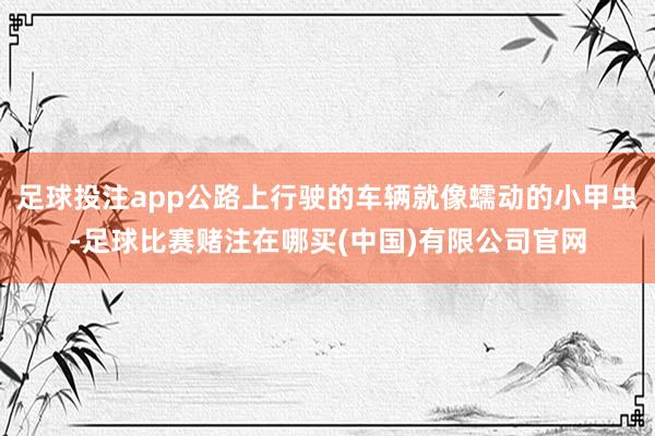 足球投注app公路上行驶的车辆就像蠕动的小甲虫-足球比赛赌注在哪买(中国)有限公司官网