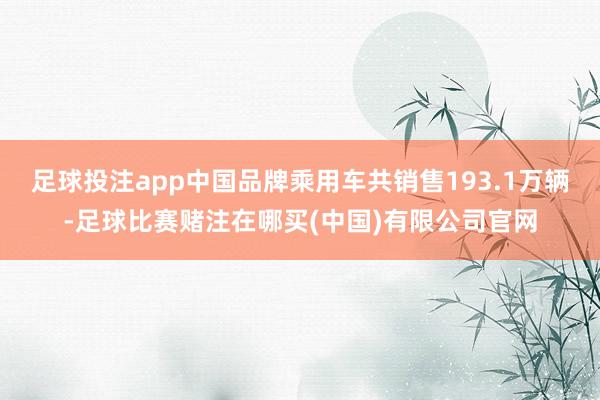 足球投注app中国品牌乘用车共销售193.1万辆-足球比赛赌注在哪买(中国)有限公司官网