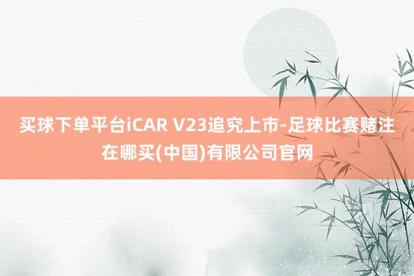 买球下单平台iCAR V23追究上市-足球比赛赌注在哪买(中国)有限公司官网