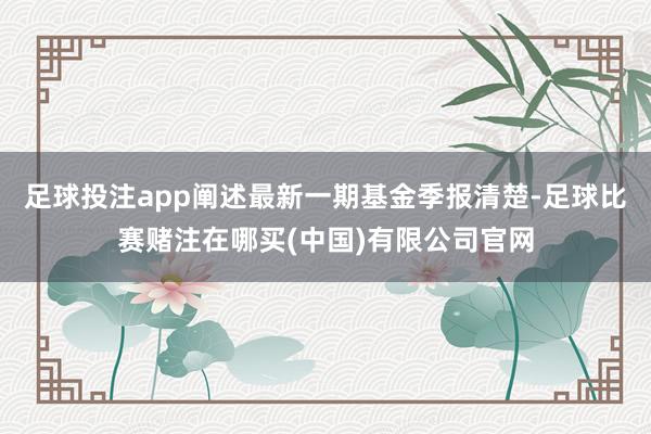 足球投注app阐述最新一期基金季报清楚-足球比赛赌注在哪买(中国)有限公司官网
