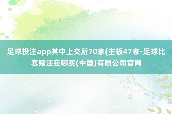 足球投注app其中上交所70家(主板47家-足球比赛赌注在哪买(中国)有限公司官网