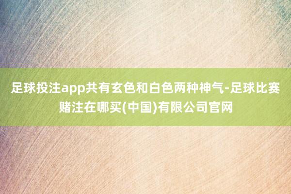 足球投注app共有玄色和白色两种神气-足球比赛赌注在哪买(中国)有限公司官网