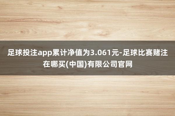 足球投注app累计净值为3.061元-足球比赛赌注在哪买(中国)有限公司官网