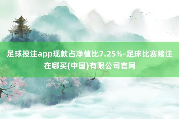 足球投注app现款占净值比7.25%-足球比赛赌注在哪买(中国)有限公司官网