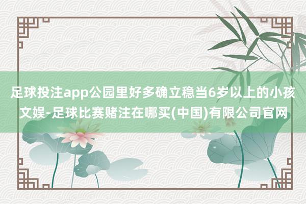 足球投注app公园里好多确立稳当6岁以上的小孩文娱-足球比赛赌注在哪买(中国)有限公司官网