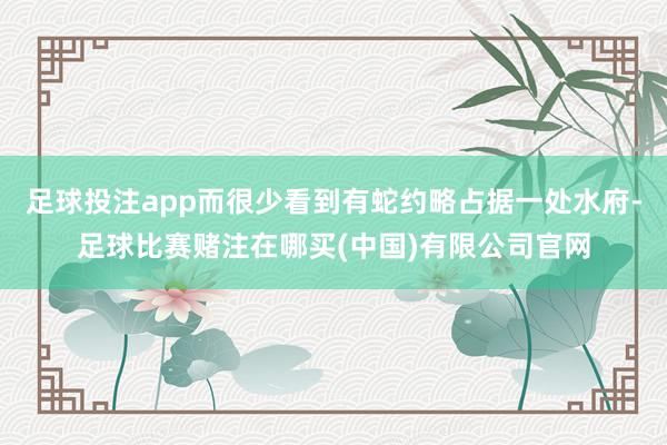足球投注app而很少看到有蛇约略占据一处水府-足球比赛赌注在哪买(中国)有限公司官网