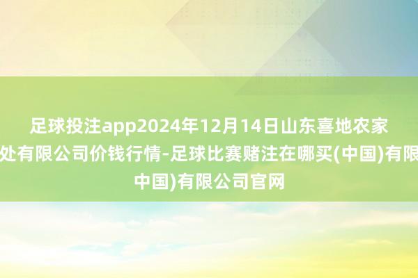 足球投注app2024年12月14日山东喜地农家具商场惩处有限公司价钱行情-足球比赛赌注在哪买(中国)有限公司官网