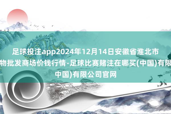 足球投注app2024年12月14日安徽省淮北市中瑞农产物批发商场价钱行情-足球比赛赌注在哪买(中国)有限公司官网
