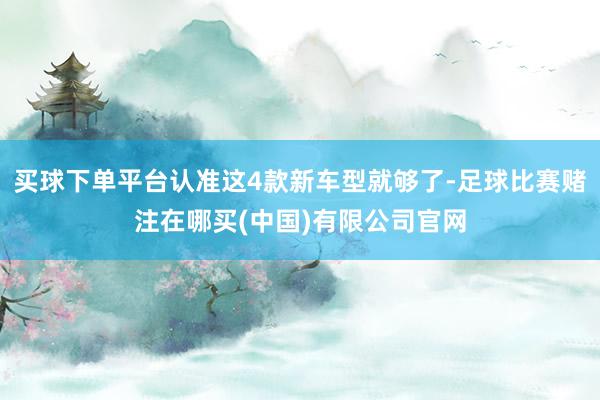买球下单平台认准这4款新车型就够了-足球比赛赌注在哪买(中国)有限公司官网