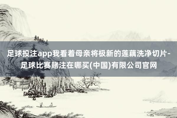 足球投注app我看着母亲将极新的莲藕洗净切片-足球比赛赌注在哪买(中国)有限公司官网