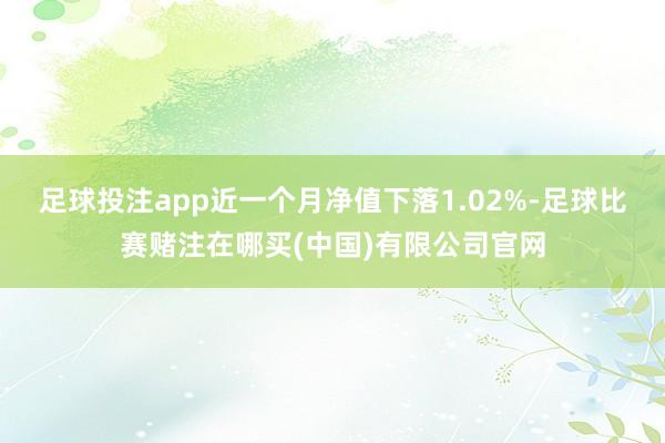 足球投注app近一个月净值下落1.02%-足球比赛赌注在哪买(中国)有限公司官网