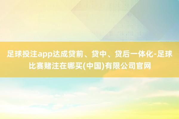 足球投注app达成贷前、贷中、贷后一体化-足球比赛赌注在哪买(中国)有限公司官网