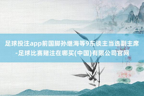 足球投注app前国脚孙继海等9东谈主当选副主席-足球比赛赌注在哪买(中国)有限公司官网