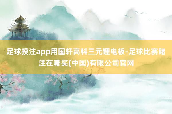 足球投注app用国轩高科三元锂电板-足球比赛赌注在哪买(中国)有限公司官网