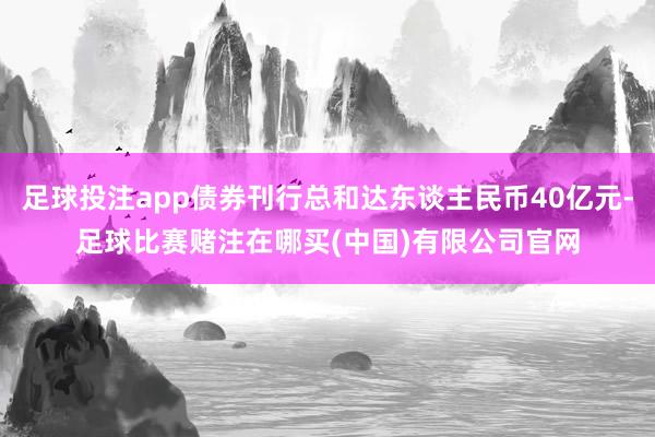 足球投注app债券刊行总和达东谈主民币40亿元-足球比赛赌注在哪买(中国)有限公司官网