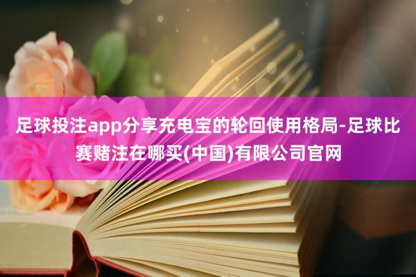 足球投注app分享充电宝的轮回使用格局-足球比赛赌注在哪买(中国)有限公司官网